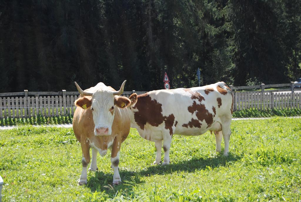 Trogerhof Daire Dobbiaco Dış mekan fotoğraf