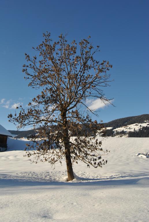 Trogerhof Daire Dobbiaco Dış mekan fotoğraf