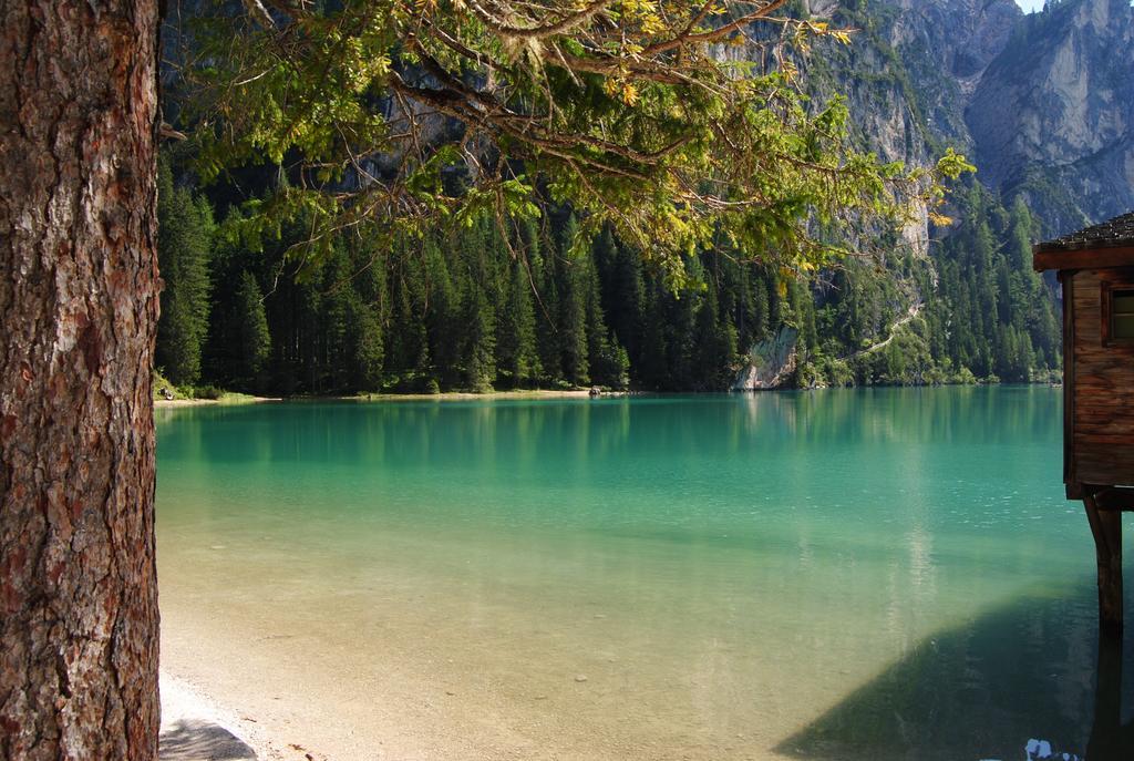 Trogerhof Daire Dobbiaco Dış mekan fotoğraf